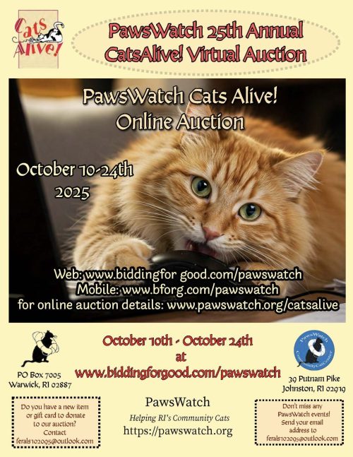 25th Annual PawsWatch CatsAlive! Auction