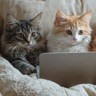 2026 PawsWatch CatsAlive Online Auction October 9 – October 23, 2026
