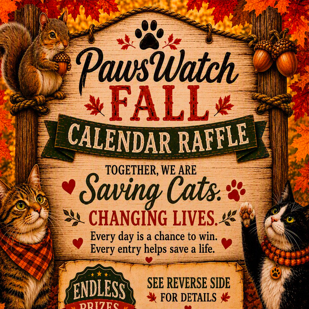 PawsWatch 2026 Fall Raffle